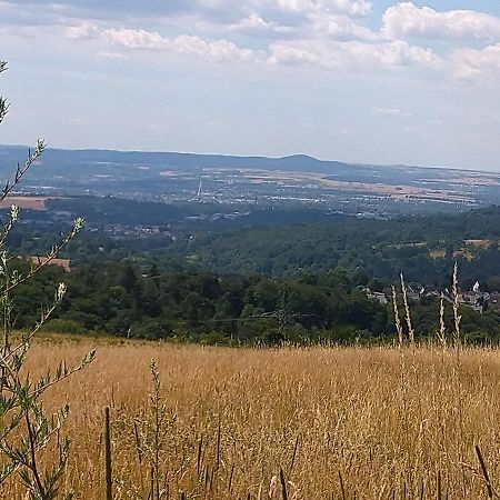 Ferienwohnung Im Naturpark Rhein-Westerwald Rengsdorf 外观 照片